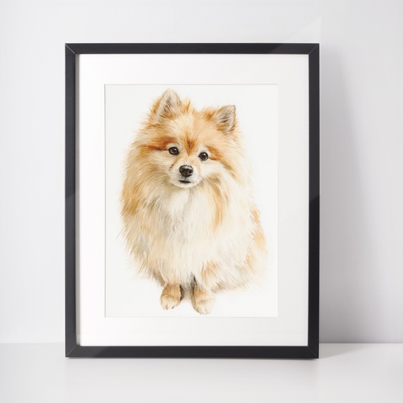 Watercolor Pomeranian Dog Portrait Art Print – Unframed Fine Art Poster - Picture 3 of 5